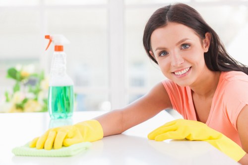 Pet stain odour removal service for a Stjohnswood living room carpet