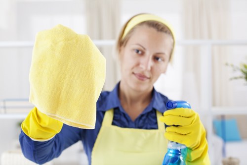 Professional exterior cleaning for residential flats in Stjohnswood