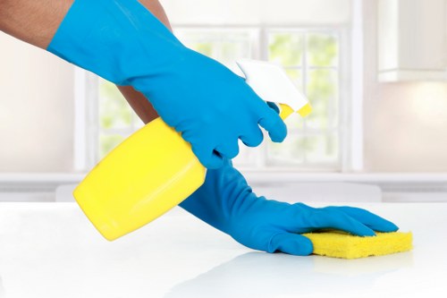 Professional window cleaning for Stjohnswood homes and flats