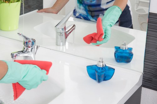 Bathroom and living space cleaning ready for new occupants