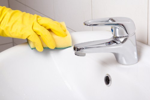 Reviewing a carpet cleaning concern and service notes
