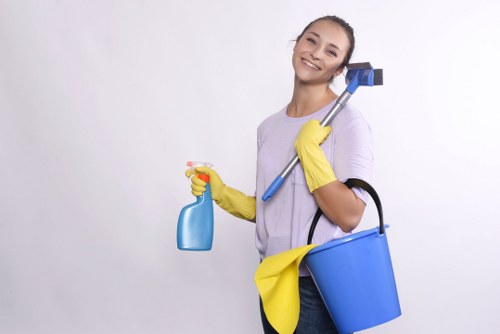 Deep cleaning treatment for a fabric sofa in St John’s Wood