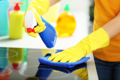 Clean and fresh apartment preparation in Stjohnswood
