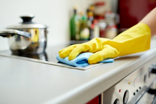 End of tenancy bathroom deep cleaning in Stjohnswood