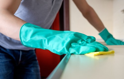 A cleaner maintaining kitchen surfaces during a regular visit