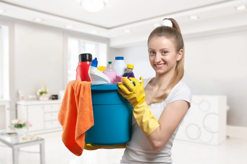 Regular home cleaning in a Stjohnswood apartment