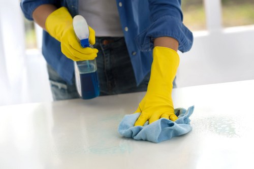 Mattress hygiene service for homes and rentals in Stjohnswood