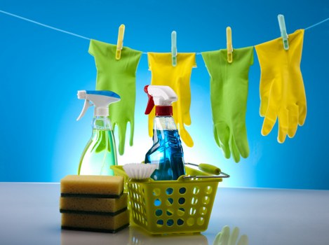 Professional carpet cleaning service in St John’s Wood treating stains