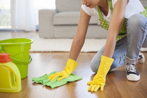 Professional carpet cleaner assessing a room before treatment